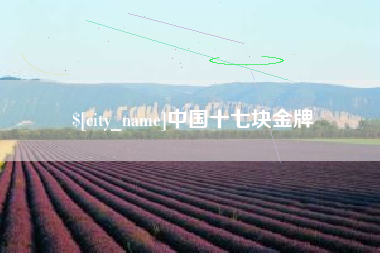 姜堰中国十七块金牌