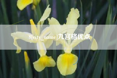 姜堰九宫格优点
