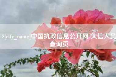 姜堰中国执政信息公开网-失信人员查询页