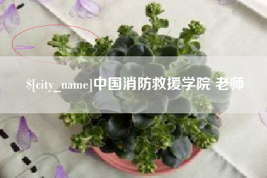 姜堰中国消防救援学院 老师
