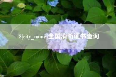 姜堰全国消防证书查询