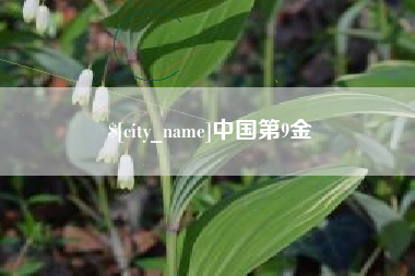 姜堰中国第9金
