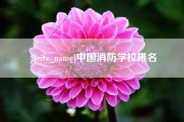 姜堰中国消防学校排名