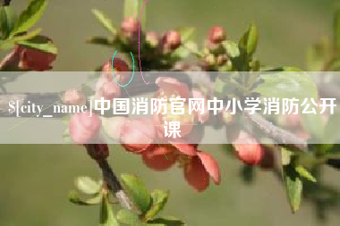 姜堰中国消防官网中小学消防公开课
