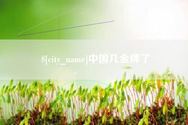 姜堰中国几金牌了