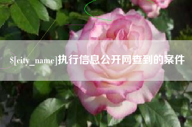 姜堰执行信息公开网查到的案件