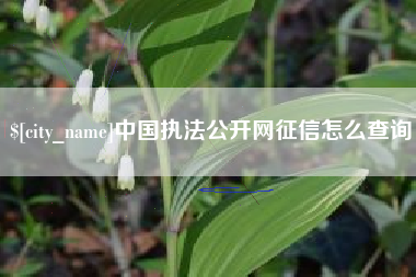 姜堰中国执法公开网征信怎么查询