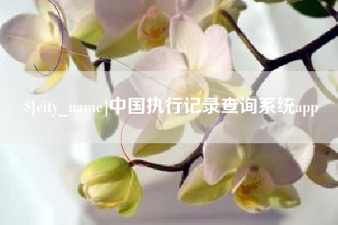 姜堰中国执行记录查询系统app