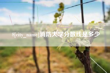 姜堰消防大学分数线是多少