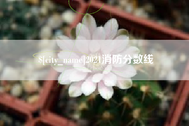 姜堰2021消防分数线