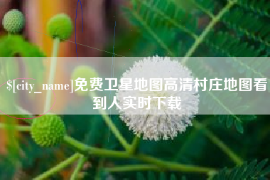 姜堰免费卫星地图高清村庄地图看到人实时下载