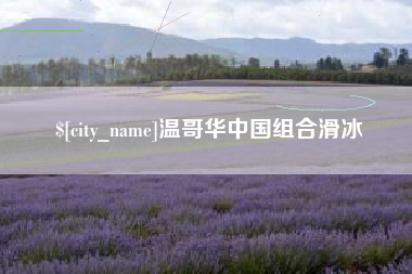 姜堰温哥华中国组合滑冰
