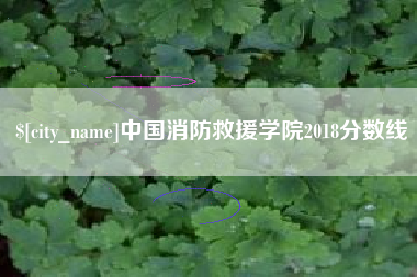 姜堰中国消防救援学院2018分数线