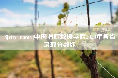 姜堰中国消防救援学院2020年各省录取分数线