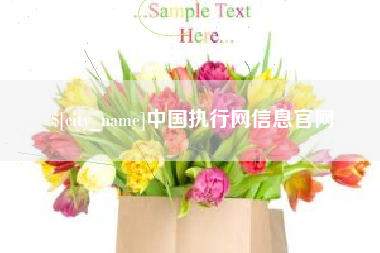 姜堰中国执行网信息官网