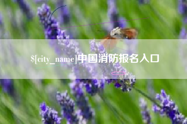 姜堰中国消防报名入口