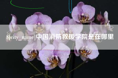 姜堰中国消防救援学院是在哪里