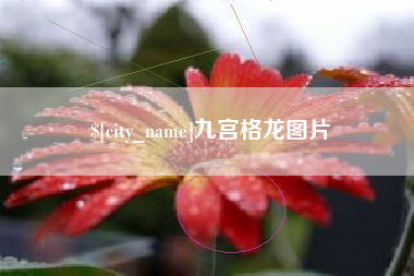 姜堰九宫格龙图片