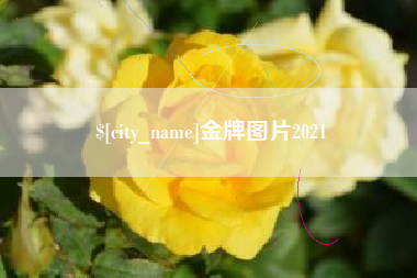 姜堰金牌图片2021