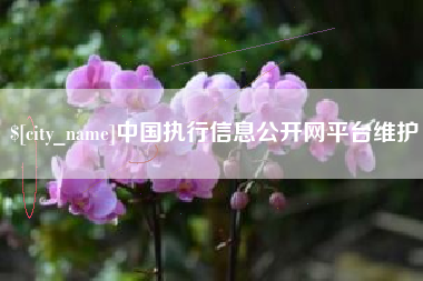 姜堰中国执行信息公开网平台维护