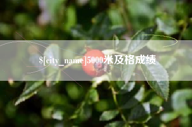 姜堰5000米及格成绩