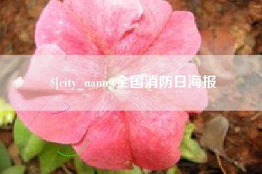 姜堰全国消防日海报