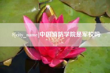 姜堰中国消防学院是军校吗