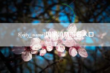 姜堰国家消防报名入口