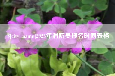 姜堰2025年消防员报名时间表格