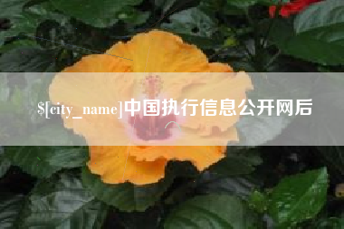 姜堰中国执行信息公开网后
