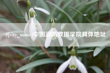 姜堰中国消防救援学院具体地址