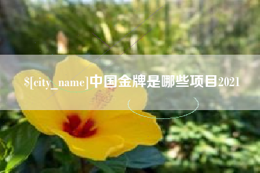 姜堰中国金牌是哪些项目2021