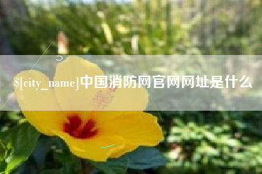 姜堰中国消防网官网网址是什么