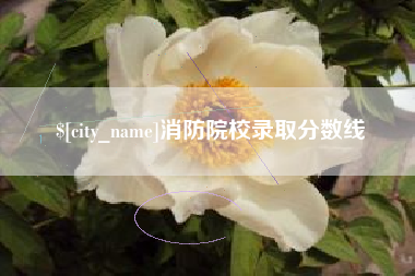 姜堰消防院校录取分数线