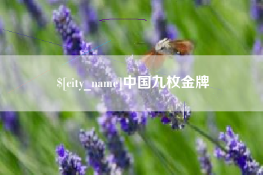 姜堰中国九枚金牌