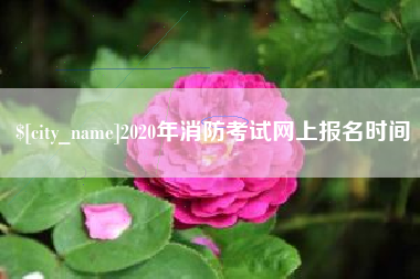 姜堰2020年消防考试网上报名时间