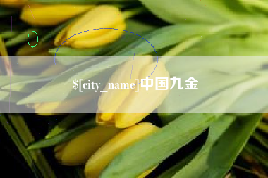姜堰中国九金