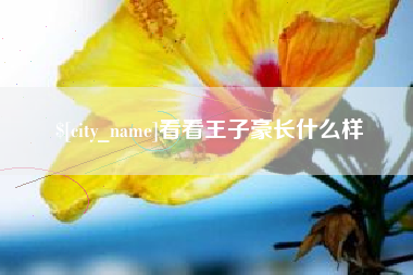 姜堰看看王子豪长什么样