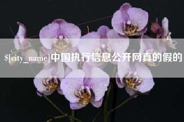 姜堰中国执行信息公开网真的假的