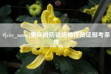 姜堰重庆消防设施操作员证报考条件