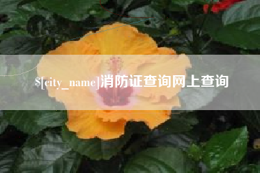 姜堰消防证查询网上查询