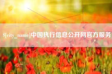 姜堰中国执行信息公开网官方服务