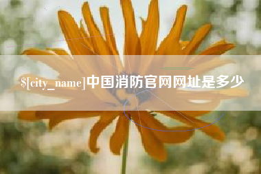 姜堰中国消防官网网址是多少