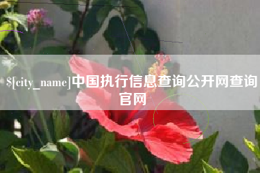 姜堰中国执行信息查询公开网查询官网
