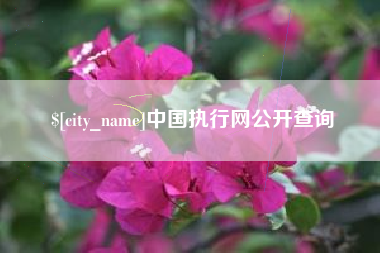 姜堰中国执行网公开查询