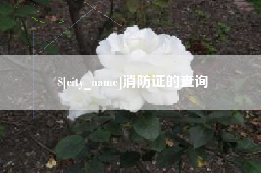 姜堰消防证的查询