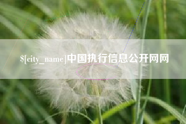 姜堰中国执行信息公开网网