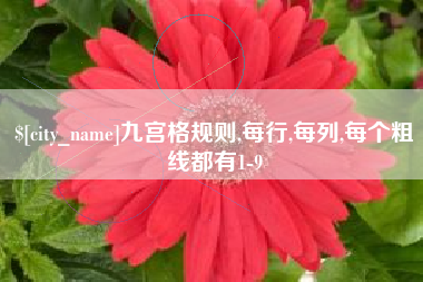 姜堰九宫格规则,每行,每列,每个粗线都有1-9