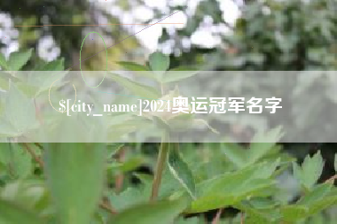 姜堰2024奥运冠军名字