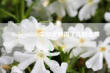 姜堰中国金牌得了几枚金牌